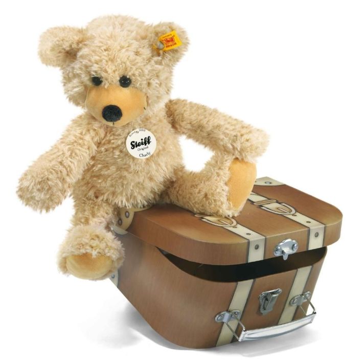 Charly dangling Teddy bear in suitcase