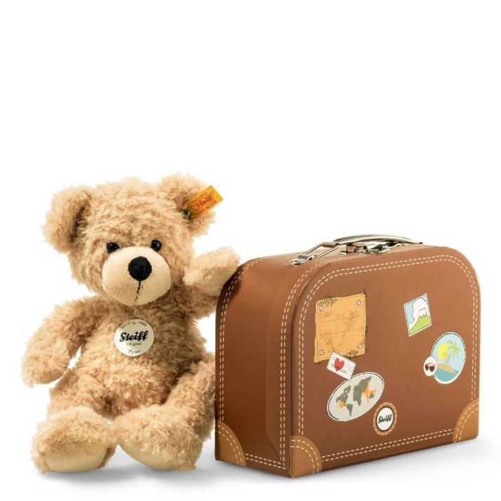 Fynn Teddy bear in suitcase