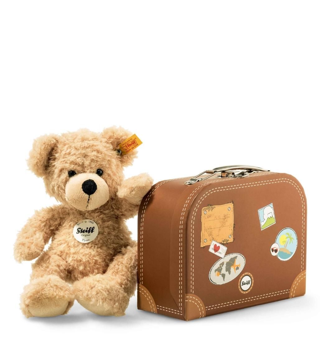Fynn Teddy bear in suitcase